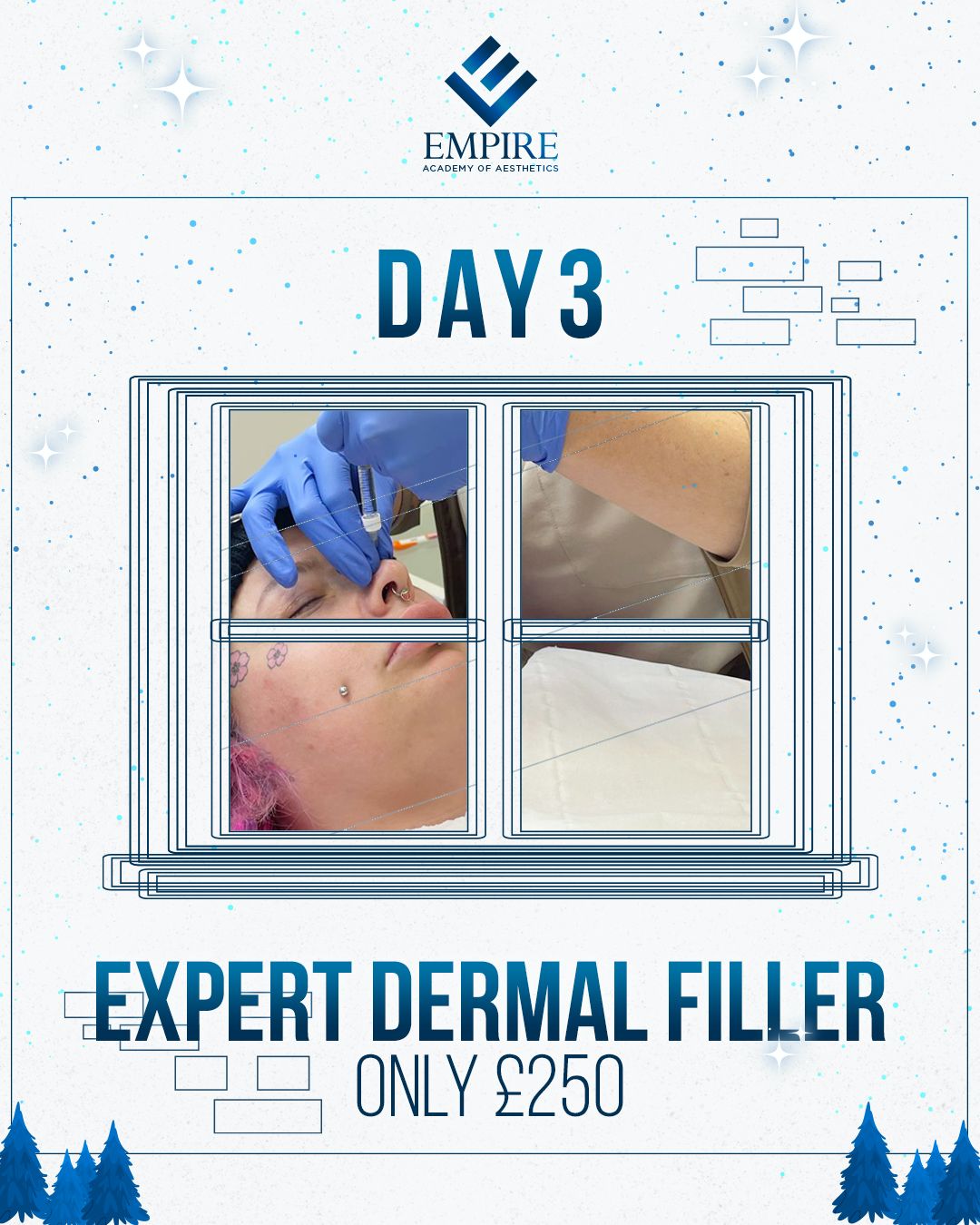 Expert Dermal Fillers Course (12 Days of Christmas - Day 3)