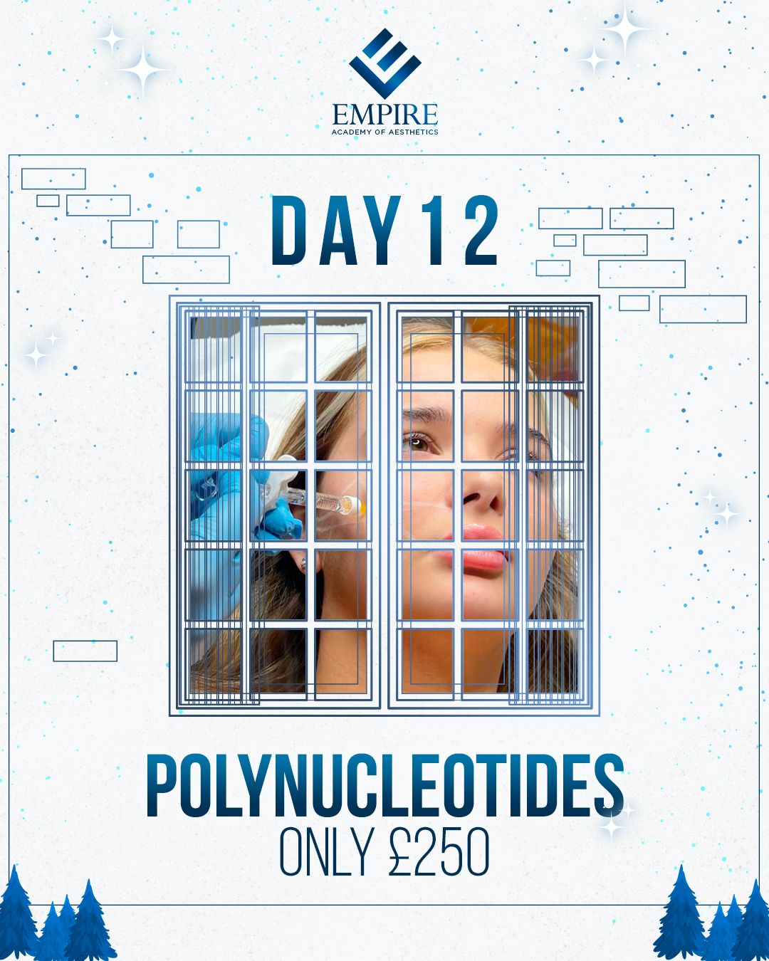 Polynucleotides Course (12 Days of Christmas - Day 12)
