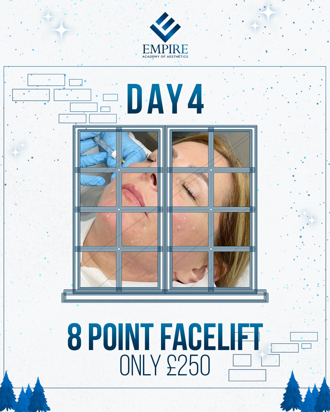 8 - Point Face Lift Course (12 Days of Christmas - Day 4)