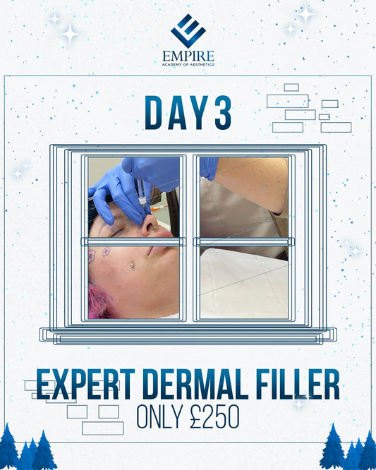 Expert Dermal Fillers Course (12 Days of Christmas - Day 3)