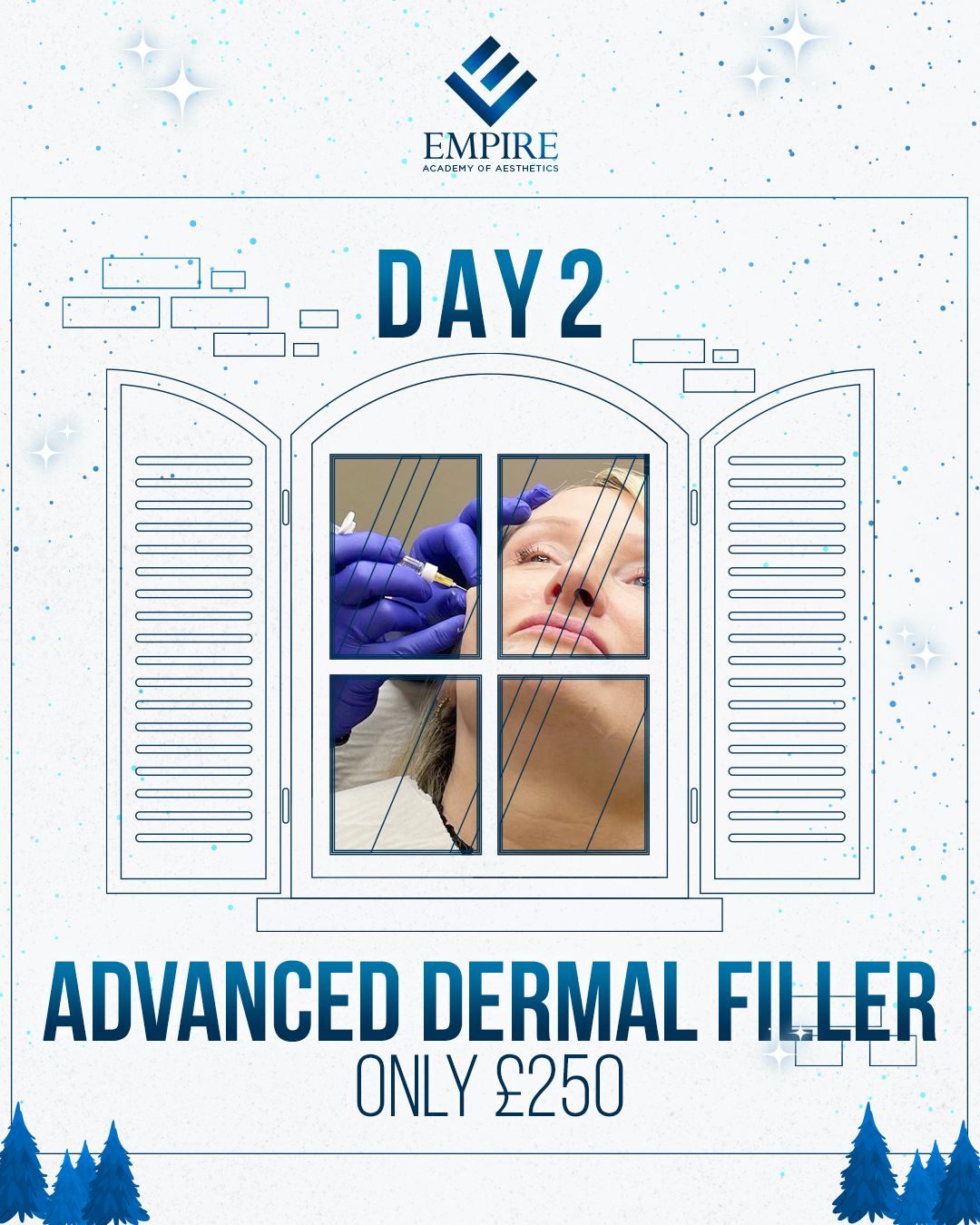Advanced Dermal Fillers Course (12 Days of Christmas - Day 2)