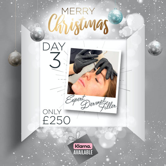 Expert Dermal Fillers Course (12 Days of Christmas - Day 3)