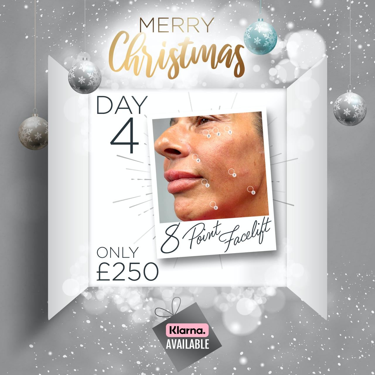 8 - Point Face Lift Course (12 Days of Christmas - Day 4)